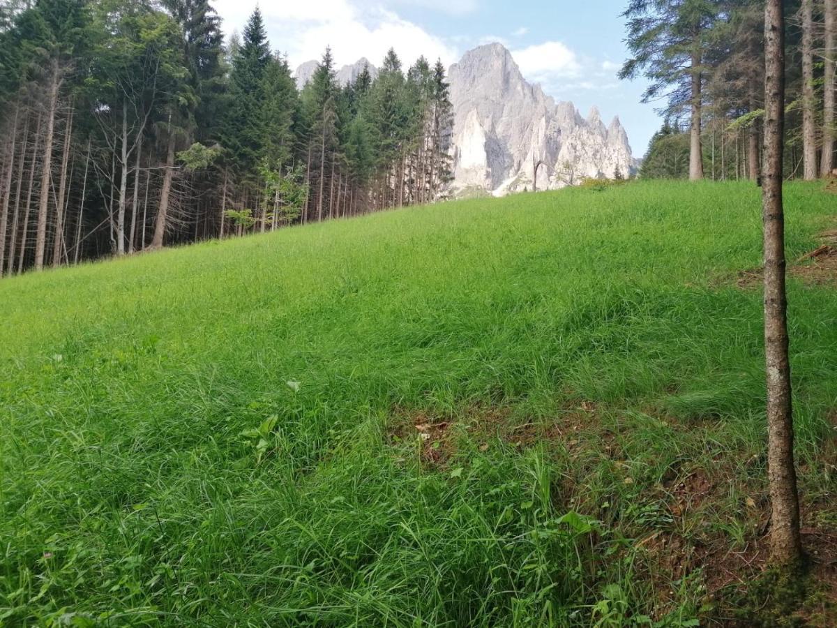 Baita Pra Petina Pale Di San Martino Siror Dış mekan fotoğraf