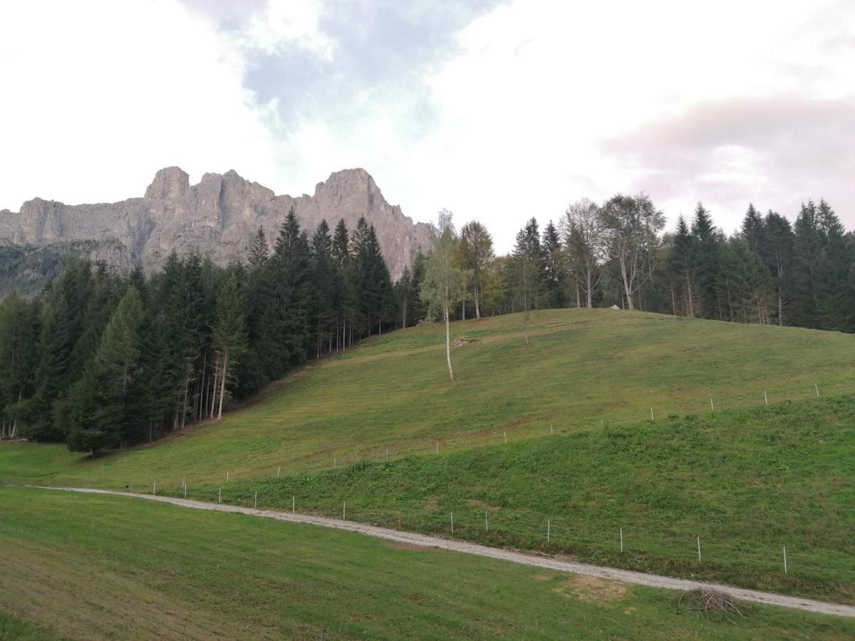 Baita Pra Petina Pale Di San Martino Siror Dış mekan fotoğraf